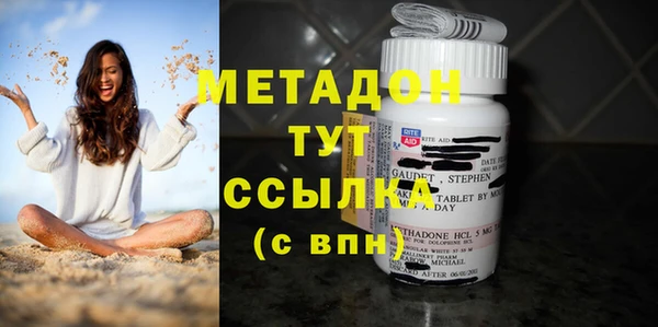 ПСИЛОЦИБИНОВЫЕ ГРИБЫ Абаза