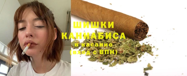 ПСИЛОЦИБИНОВЫЕ ГРИБЫ Абаза