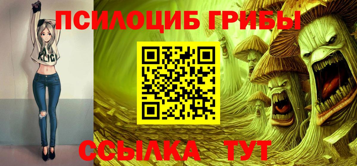 Псилоцибиновые грибы Psilocybine cubensis  наркошоп  Лиски  Вход с VPN 